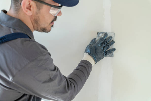 Best Drywall Sanding and Smoothing  in USA